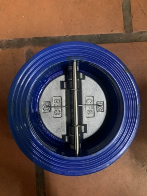 Van Một Chiều Cánh Bướm AUT DN50